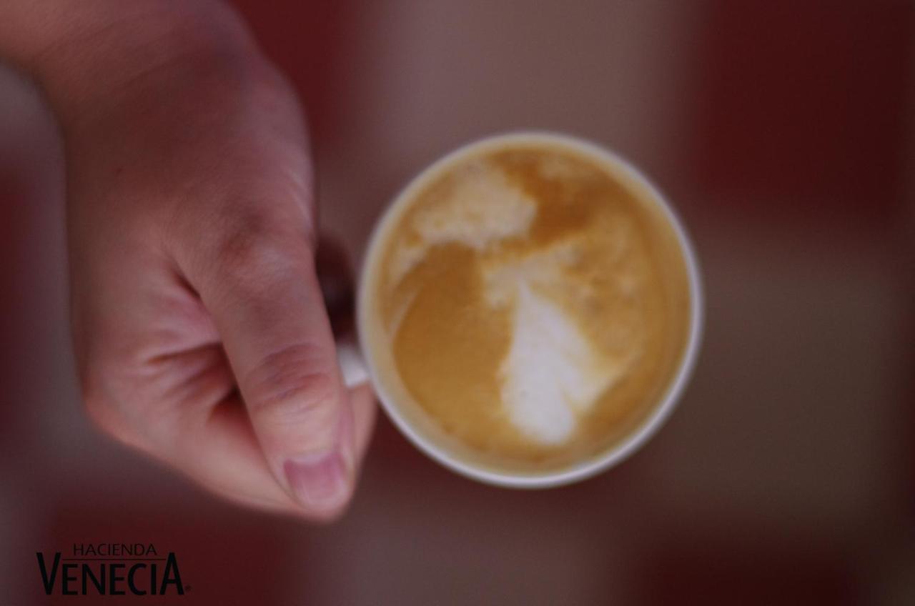Hacienda Venecia Coffee Farm Hotel San Peregrino Екстер'єр фото